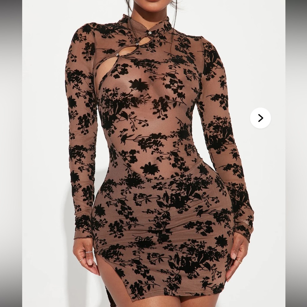 Raelynn Mesh Mini Dress